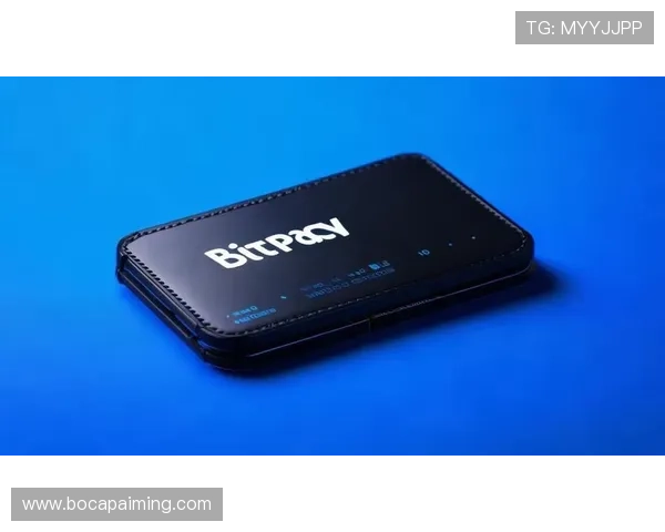 天博真人app克罗地亚官网支持多种支付方式确保资金安全与快速到账